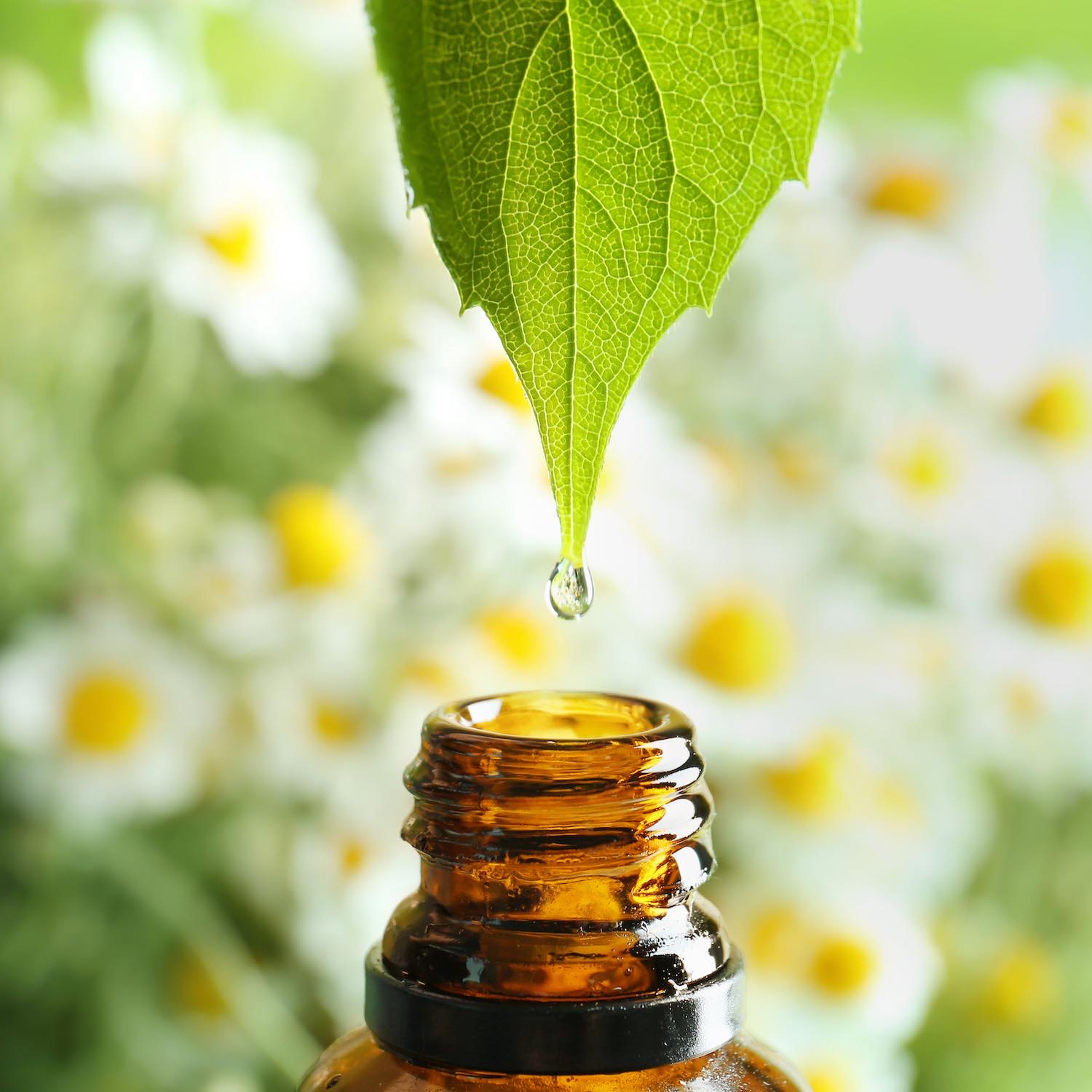 Aromathérapie, huiles essentielles, Pharmacie de la Plage à Saint-Anne